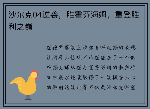 沙尔克04逆袭，胜霍芬海姆，重登胜利之巅